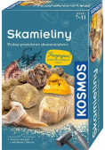 Zestaw Archeologiczny Skamieliny