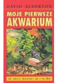 Moje pierwsze akwarium
