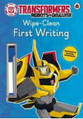 Transformers Robots in Disguise