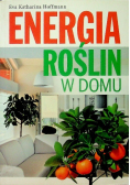 Energia roślin w domu