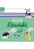 Karty obrazkowe Poznaję świat Dźwięki