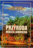Przyroda miasta Jaworzna