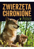 Zwierzęta chronione w Polsce