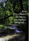 Kto przychodzi do Mnie nie będzie pragnął