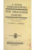 Pod Smaganiem Samumu 1927 r