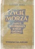 Życie morza
