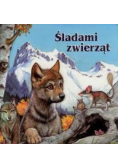 Śladami zwierząt