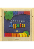 Stonoga Agata