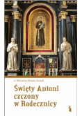 Święty Antoni czczony w Radecznicy