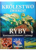 Królestwo zwierząt Tom 5