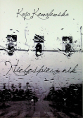 Niebospiecznik