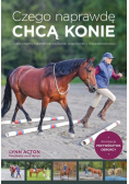 Czego naprawdę chcą konie