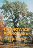 Laskowice Pomorskie. Zarys dziejów