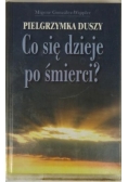 Pielgrzymka duszy. Co się dzieje po śmierci?
