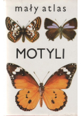 Mały Atlas motyli