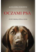 Oczami psa Co psy wiedzą myślą i czują