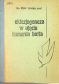 Eklezjogeneza w ujęciu Leonarda Boffa