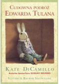 Cudowna podróż Edwarda Tulana