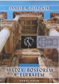 Między Bosforem a Eufratem