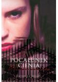 Akademia Wampirów 3 Pocałunek cienia