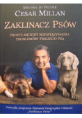 Zaklinacz Psów