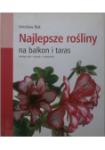 Najlepsze rośliny na balkon i taras