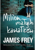 Milion małych kawałków