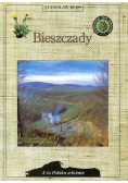 A to Polska właśnie Bieszczady