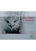 Orły kanie i rybołowy