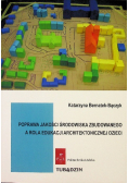 Poprawa Środowiska Zbudowanego Dzieci