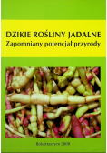Dzikie rośliny jadalne Zapomniany potencjał przyrody