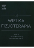 Wielka fizjoterapia Tom 2