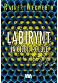 Labirynt na ciebie poluje