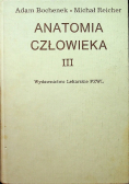 Anatomia człowieka III