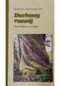 Duchowy rozwój Psychologia a mistyka