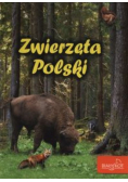 Zwierzęta Polski