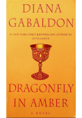 Dragonfly in amber