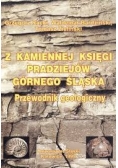 Z kamiennej księgi pradziejów Górnego Śląska
