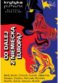Krytyka polityczna