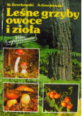 Leśne grzyby owoce i zioła