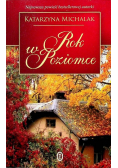 Rok w poziomce
