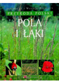 Pola łąki