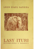 Lasy Ituri 1928 r.