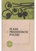 Śląsk w pradziejach Polski