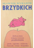 Słownik wyrazów brzydkich