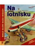 Na lotnisku