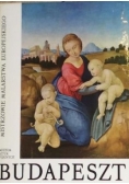 Muzeum sztuk pięknych Budapeszt