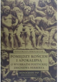 Pomiędzy końcem i apokalipsą