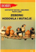 Zeberki Hodowla i mutacje