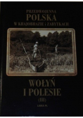 Przedwojenna Polska w krajobrazie i zabytkach Wołyń i Polesie Tom III